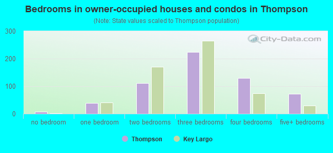 Bedrooms in owner-occupied houses and condos in Thompson
