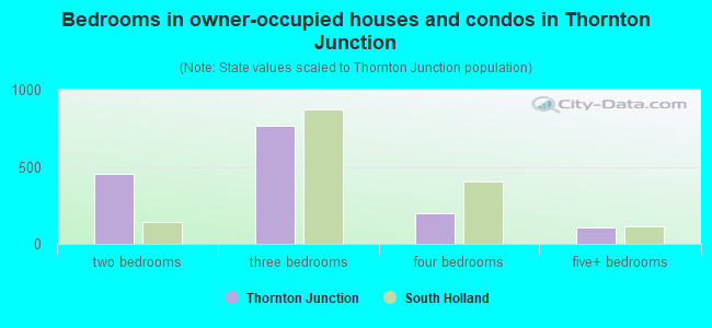 Bedrooms in owner-occupied houses and condos in Thornton Junction