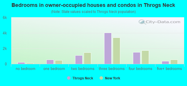Bedrooms in owner-occupied houses and condos in Throgs Neck