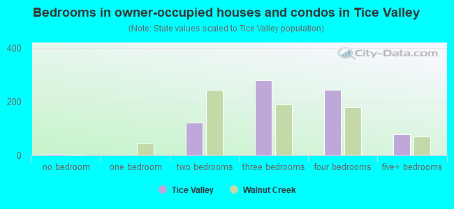 Bedrooms in owner-occupied houses and condos in Tice Valley
