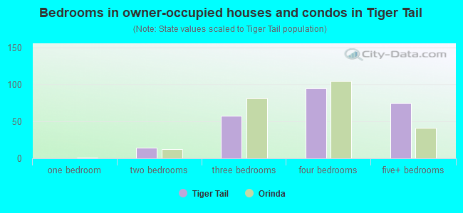 Bedrooms in owner-occupied houses and condos in Tiger Tail