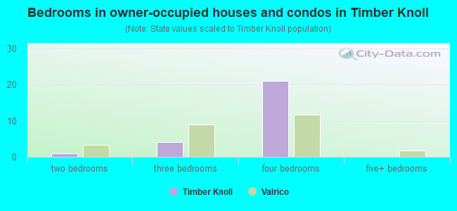 Bedrooms in owner-occupied houses and condos in Timber Knoll