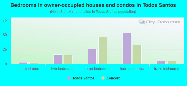 Bedrooms in owner-occupied houses and condos in Todos Santos