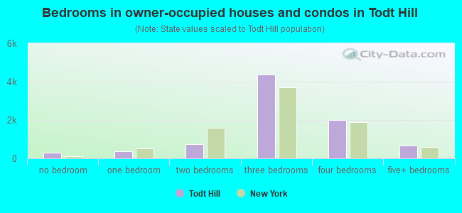 Bedrooms in owner-occupied houses and condos in Todt Hill