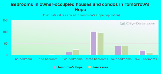 Bedrooms in owner-occupied houses and condos in Tomorrow's Hope