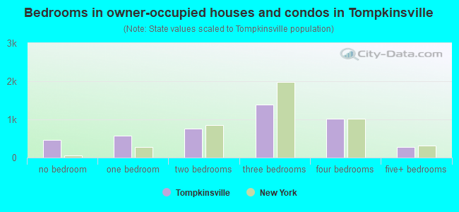 Bedrooms in owner-occupied houses and condos in Tompkinsville