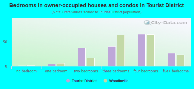 Bedrooms in owner-occupied houses and condos in Tourist District