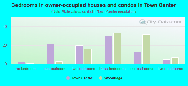 Bedrooms in owner-occupied houses and condos in Town Center