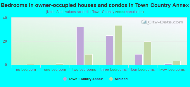 Bedrooms in owner-occupied houses and condos in Town  Country Annex