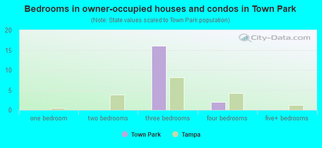 Bedrooms in owner-occupied houses and condos in Town Park