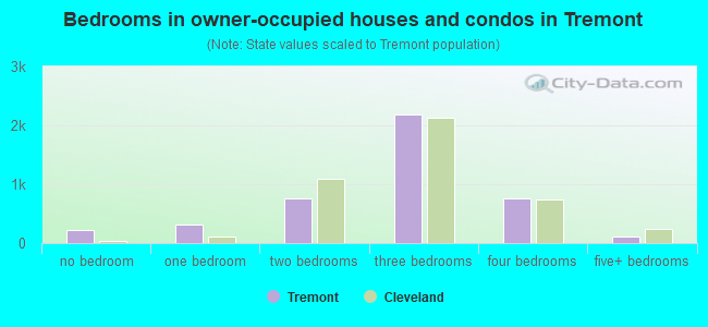 Bedrooms in owner-occupied houses and condos in Tremont