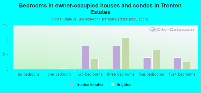 Bedrooms in owner-occupied houses and condos in Trenton Estates