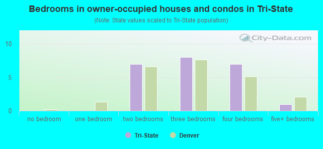 Bedrooms in owner-occupied houses and condos in Tri-State
