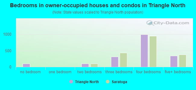 Bedrooms in owner-occupied houses and condos in Triangle North