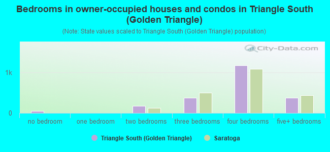 Bedrooms in owner-occupied houses and condos in Triangle South (Golden Triangle)