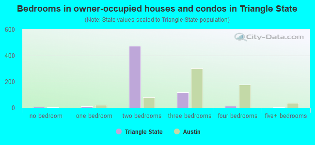 Bedrooms in owner-occupied houses and condos in Triangle State