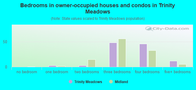Bedrooms in owner-occupied houses and condos in Trinity Meadows