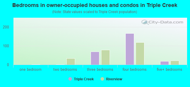 Bedrooms in owner-occupied houses and condos in Triple Creek