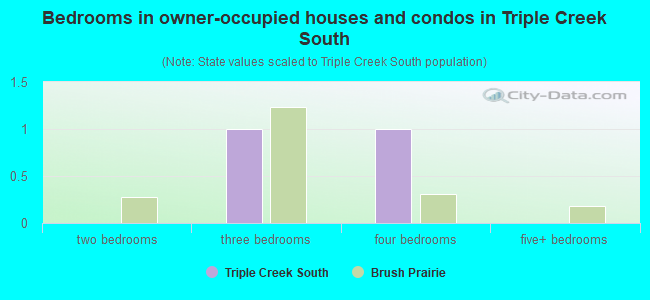 Bedrooms in owner-occupied houses and condos in Triple Creek South