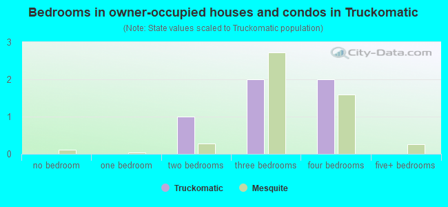 Bedrooms in owner-occupied houses and condos in Truckomatic