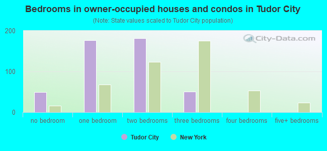 Bedrooms in owner-occupied houses and condos in Tudor City