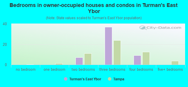 Bedrooms in owner-occupied houses and condos in Turman's East Ybor