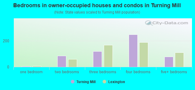Bedrooms in owner-occupied houses and condos in Turning Mill