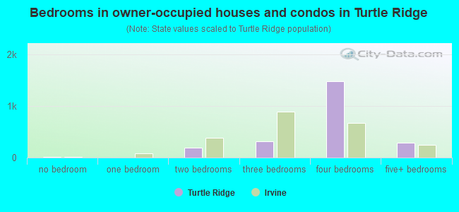 Bedrooms in owner-occupied houses and condos in Turtle Ridge