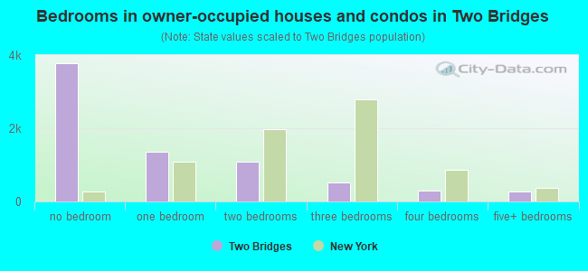 Bedrooms in owner-occupied houses and condos in Two Bridges