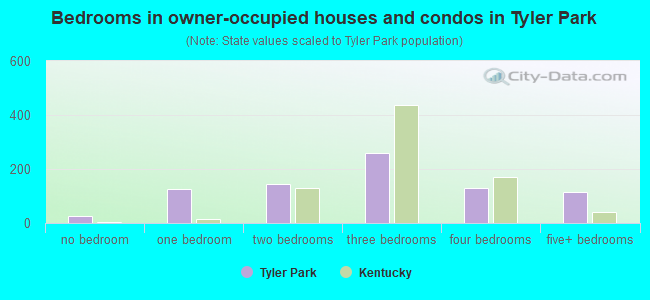 Bedrooms in owner-occupied houses and condos in Tyler Park