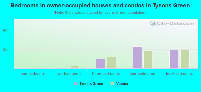 Bedrooms in owner-occupied houses and condos in Tysons Green