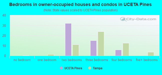 Bedrooms in owner-occupied houses and condos in UCETA Pines