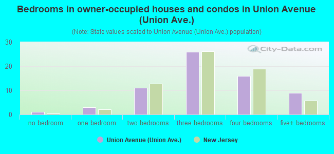 Bedrooms in owner-occupied houses and condos in Union Avenue (Union Ave.)