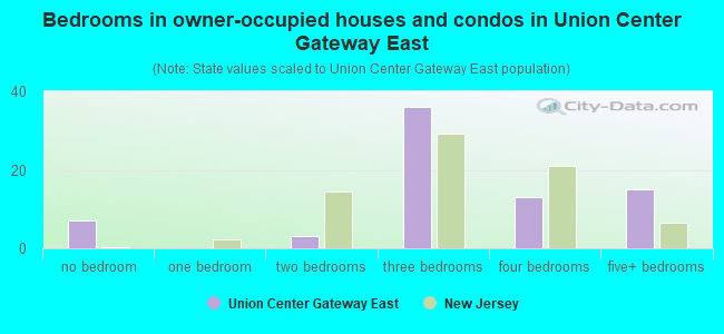 Bedrooms in owner-occupied houses and condos in Union Center Gateway East