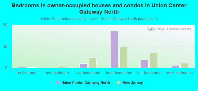 Bedrooms in owner-occupied houses and condos in Union Center Gateway North