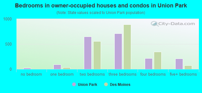 Bedrooms in owner-occupied houses and condos in Union Park