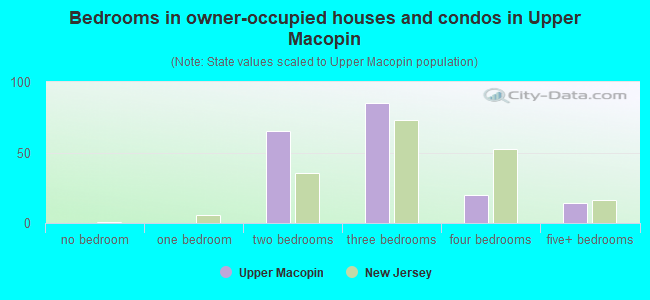 Bedrooms in owner-occupied houses and condos in Upper Macopin