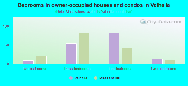 Bedrooms in owner-occupied houses and condos in Valhalla