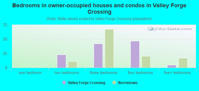 Bedrooms in owner-occupied houses and condos in Valley Forge Crossing