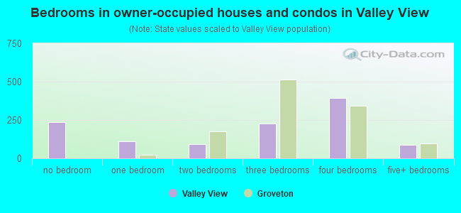 Bedrooms in owner-occupied houses and condos in Valley View