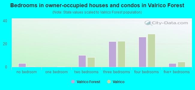 Bedrooms in owner-occupied houses and condos in Valrico Forest
