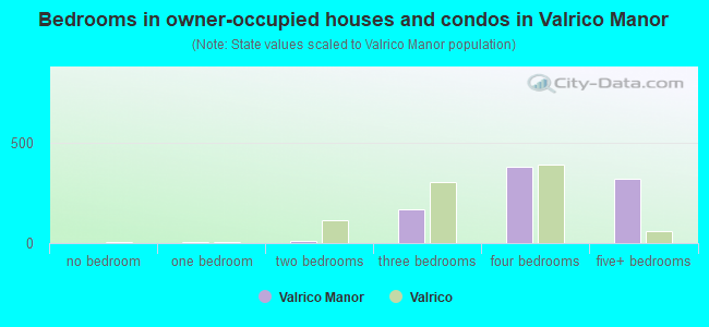 Bedrooms in owner-occupied houses and condos in Valrico Manor
