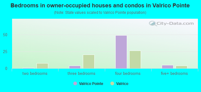 Bedrooms in owner-occupied houses and condos in Valrico Pointe