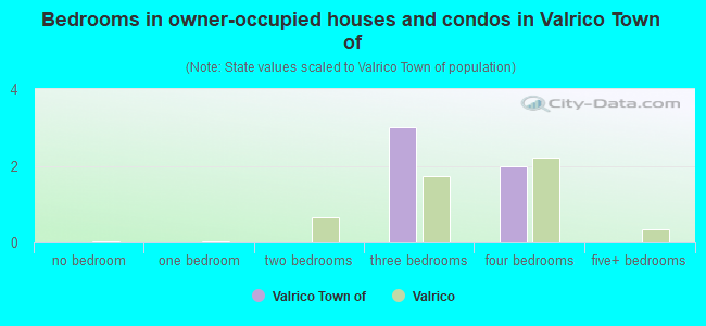 Bedrooms in owner-occupied houses and condos in Valrico Town of