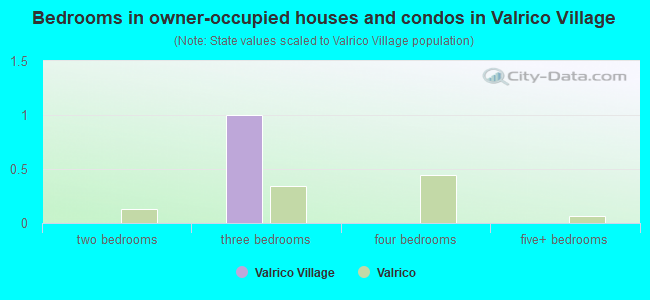 Bedrooms in owner-occupied houses and condos in Valrico Village