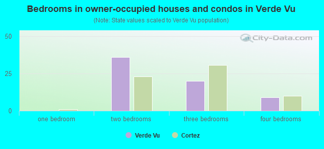 Bedrooms in owner-occupied houses and condos in Verde Vu