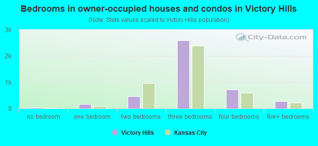 Bedrooms in owner-occupied houses and condos in Victory Hills