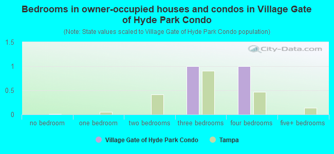 Bedrooms in owner-occupied houses and condos in Village Gate of Hyde Park Condo