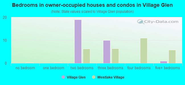 Bedrooms in owner-occupied houses and condos in Village Glen