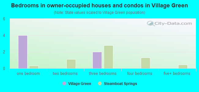 Bedrooms in owner-occupied houses and condos in Village Green